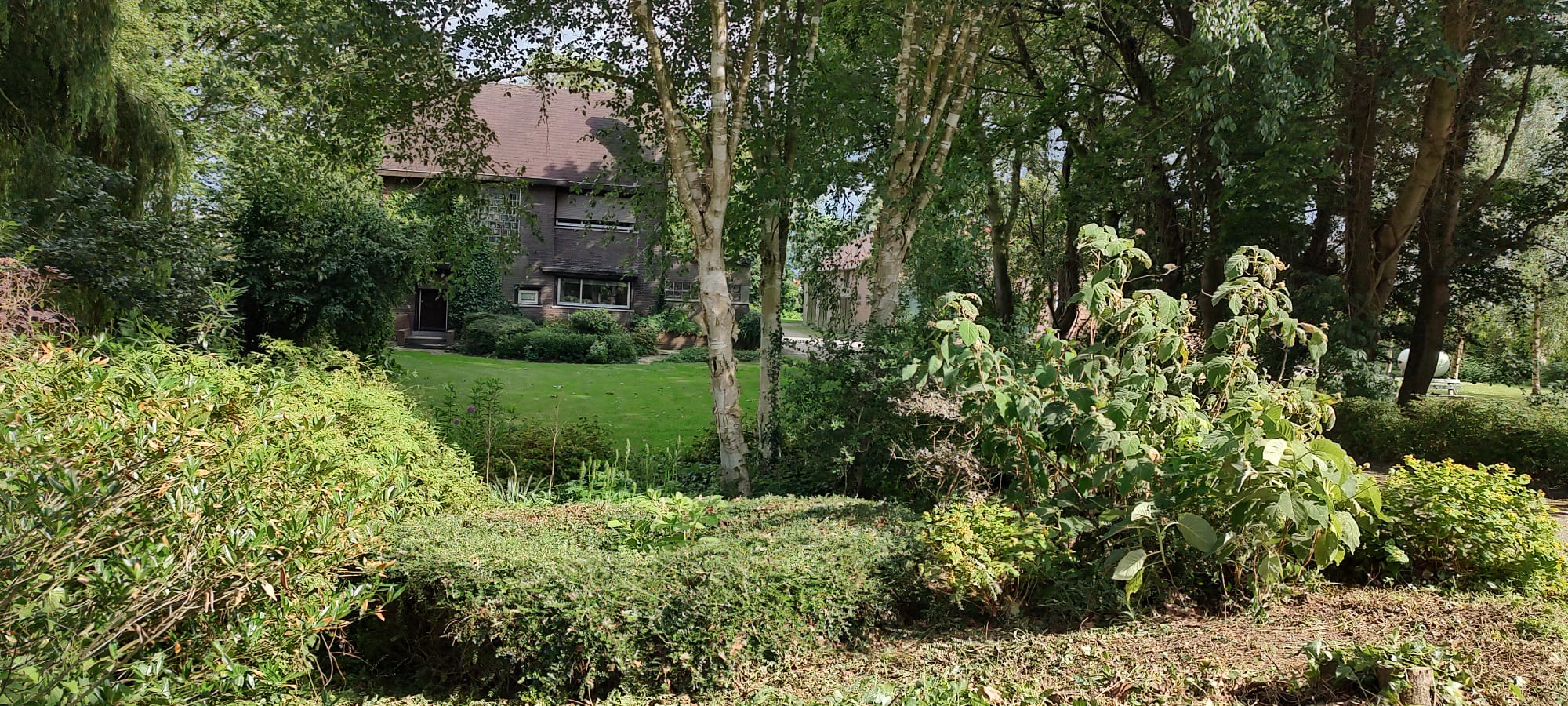Het erf van de Mattenburghoeve met bomen en hagen